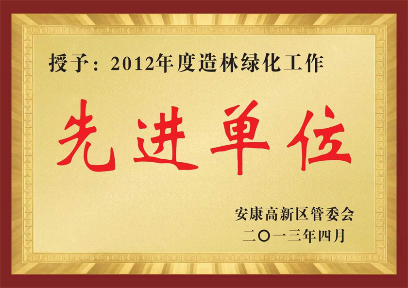 榮譽(yù)證書_復(fù)制