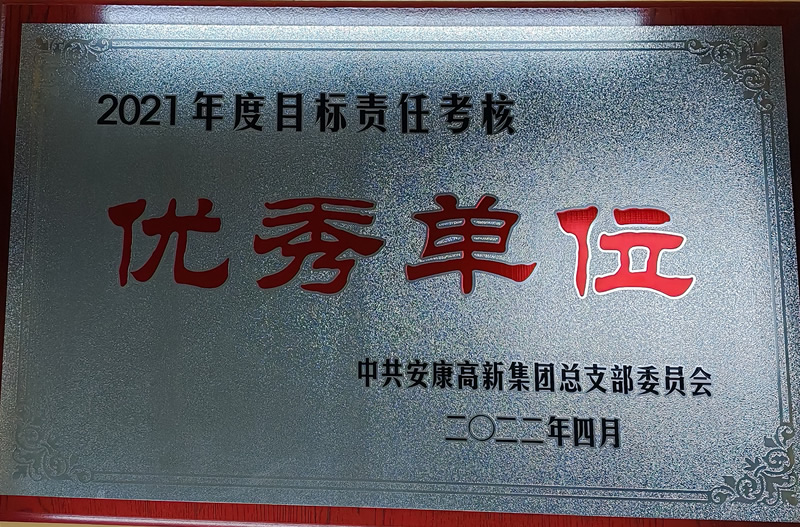 榮譽(yù)證書_復(fù)制_復(fù)制