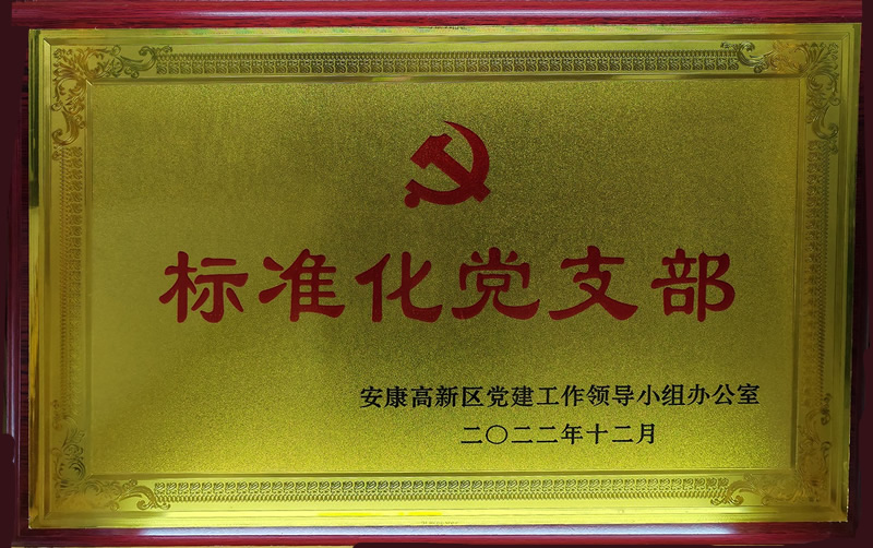 標(biāo)準(zhǔn)化黨支部
